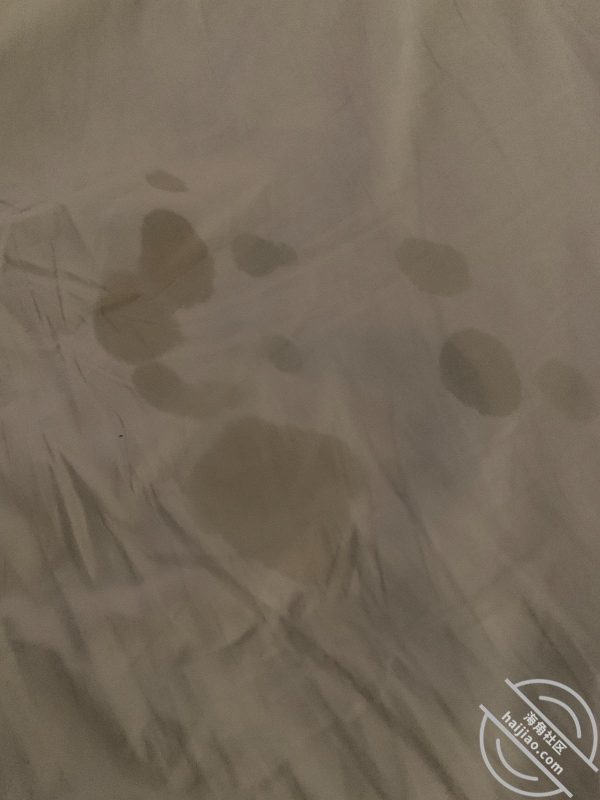 迷奸姐姐太激动内射了，我真的禽兽不如！唉  作者：我的离异姐姐-orz7｜开眼社区