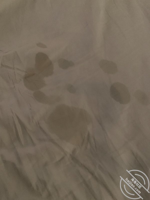 情人节那天，趁姐姐喝多强上了离异姐姐，姐姐不理我了。 作者：我的离异姐姐-orz7｜开眼社区